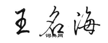 骆恒光王名海行书个性签名怎么写