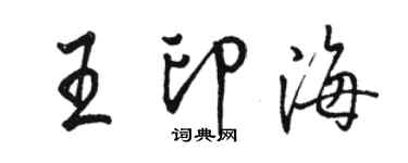 骆恒光王印海行书个性签名怎么写