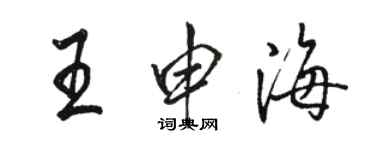 骆恒光王申海行书个性签名怎么写