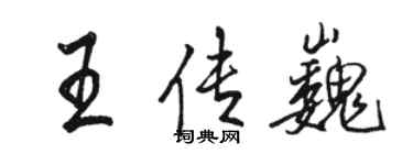 骆恒光王传巍行书个性签名怎么写