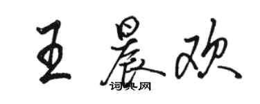 骆恒光王晨欢行书个性签名怎么写