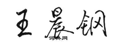 骆恒光王晨钢行书个性签名怎么写
