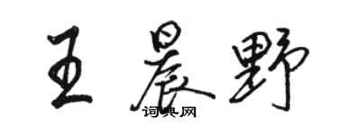 骆恒光王晨野行书个性签名怎么写