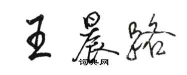 骆恒光王晨路行书个性签名怎么写