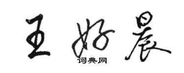 骆恒光王好晨行书个性签名怎么写