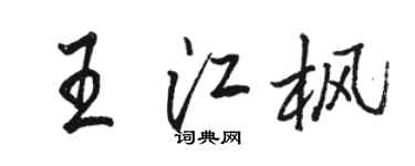 骆恒光王江枫行书个性签名怎么写