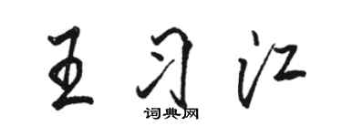 骆恒光王习江行书个性签名怎么写