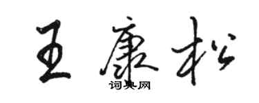 骆恒光王康松行书个性签名怎么写