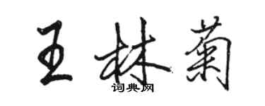 骆恒光王林菊行书个性签名怎么写