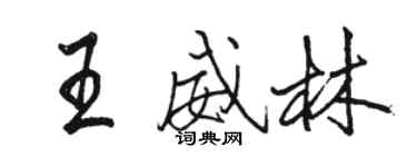 骆恒光王威林行书个性签名怎么写