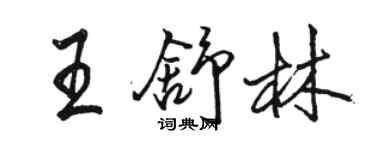 骆恒光王舒林行书个性签名怎么写