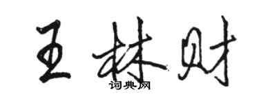 骆恒光王林财行书个性签名怎么写