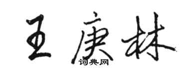 骆恒光王庚林行书个性签名怎么写