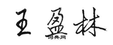 骆恒光王盈林行书个性签名怎么写