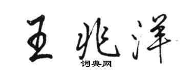 骆恒光王兆洋行书个性签名怎么写