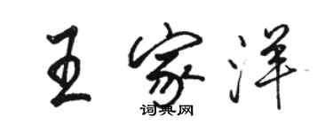 骆恒光王家洋行书个性签名怎么写