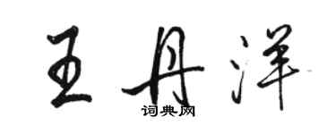 骆恒光王丹洋行书个性签名怎么写
