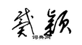 梁锦英戴颖草书个性签名怎么写