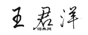 骆恒光王君洋行书个性签名怎么写