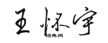 骆恒光王怀宇行书个性签名怎么写