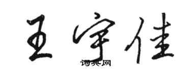 骆恒光王宇佳行书个性签名怎么写