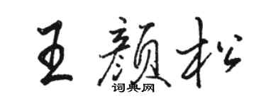 骆恒光王颜松行书个性签名怎么写
