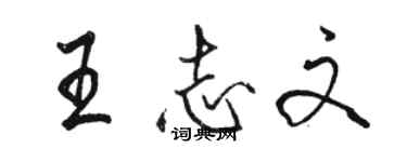 骆恒光王志文行书个性签名怎么写