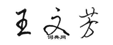 骆恒光王文芳行书个性签名怎么写