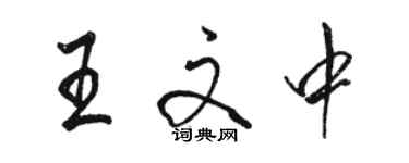 骆恒光王文中行书个性签名怎么写