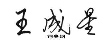 骆恒光王成星行书个性签名怎么写