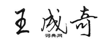 骆恒光王成奇行书个性签名怎么写