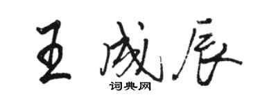 骆恒光王成辰行书个性签名怎么写