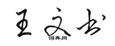 骆恒光王文书行书个性签名怎么写