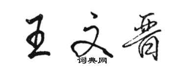 骆恒光王文晋行书个性签名怎么写