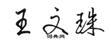 骆恒光王文珠行书个性签名怎么写