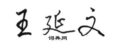 骆恒光王延文行书个性签名怎么写