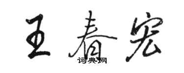 骆恒光王春宏行书个性签名怎么写