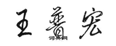 骆恒光王普宏行书个性签名怎么写