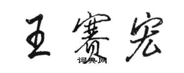 骆恒光王赛宏行书个性签名怎么写