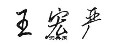 骆恒光王宏严行书个性签名怎么写