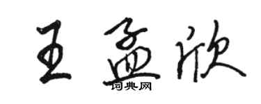 骆恒光王孟欣行书个性签名怎么写