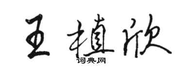骆恒光王植欣行书个性签名怎么写