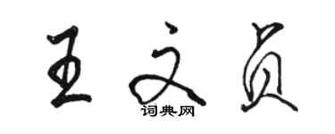 骆恒光王文贞行书个性签名怎么写