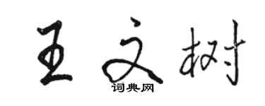 骆恒光王文树行书个性签名怎么写