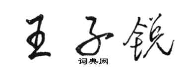 骆恒光王子锐行书个性签名怎么写