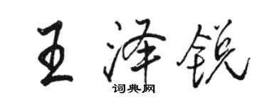 骆恒光王泽锐行书个性签名怎么写
