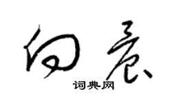 梁锦英向晨草书个性签名怎么写