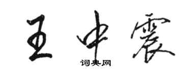 骆恒光王中震行书个性签名怎么写
