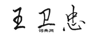 骆恒光王卫忠行书个性签名怎么写