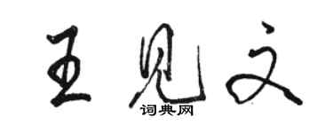 骆恒光王见文行书个性签名怎么写